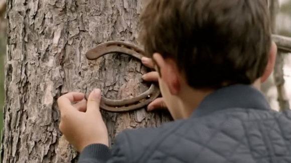 Photo du film Algonquin