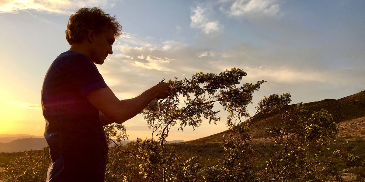 Photo from the movie The Colour of Ink