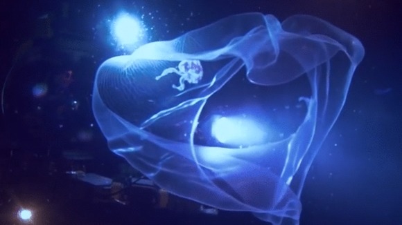 Photo du film Défiez les fonds marins