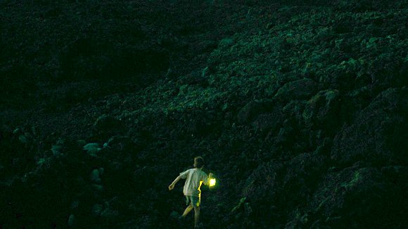 Photo du film Évolution v.f. [2015]