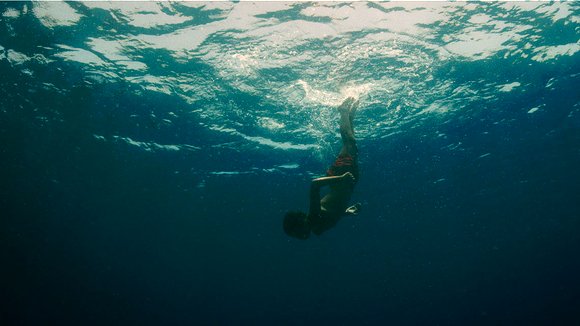 Photo du film Évolution v.f. [2015]