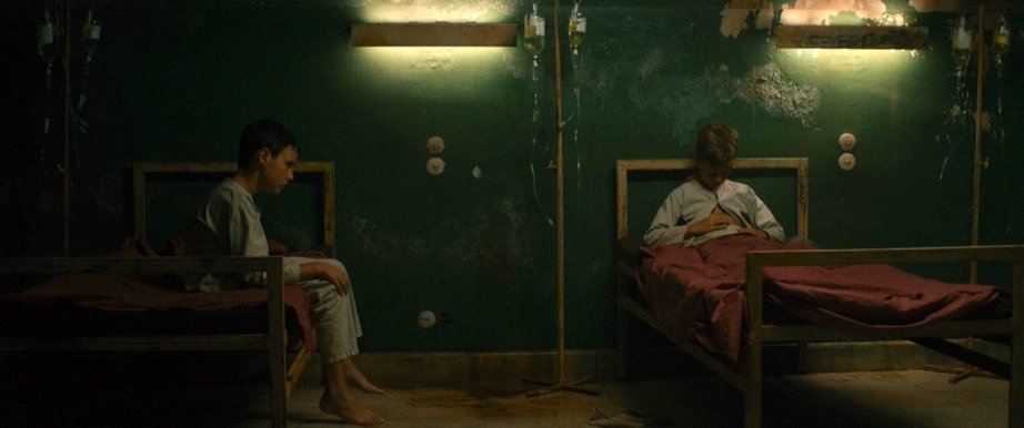 Photo du film Évolution v.f. [2015]