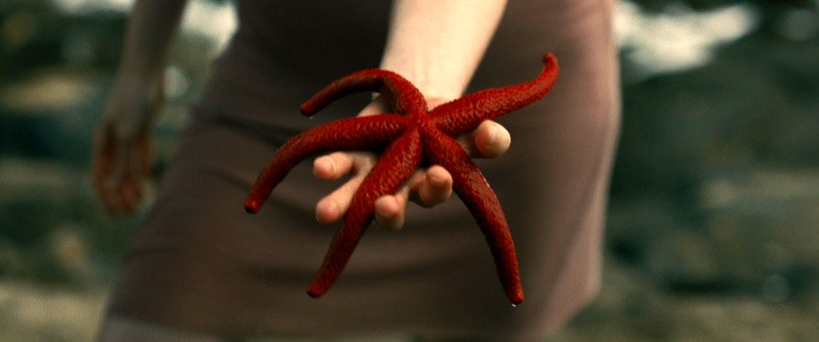 Photo du film Évolution v.f. [2015]