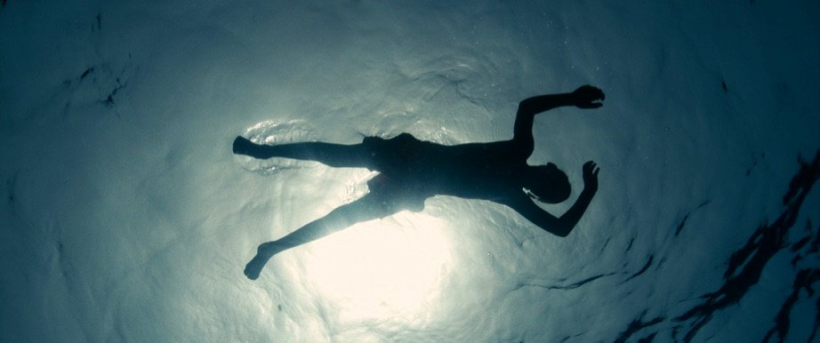 Photo du film Évolution v.f. [2015]