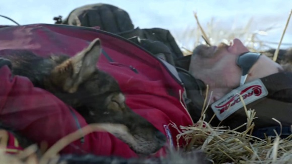 Photo from the movie The Great Alone