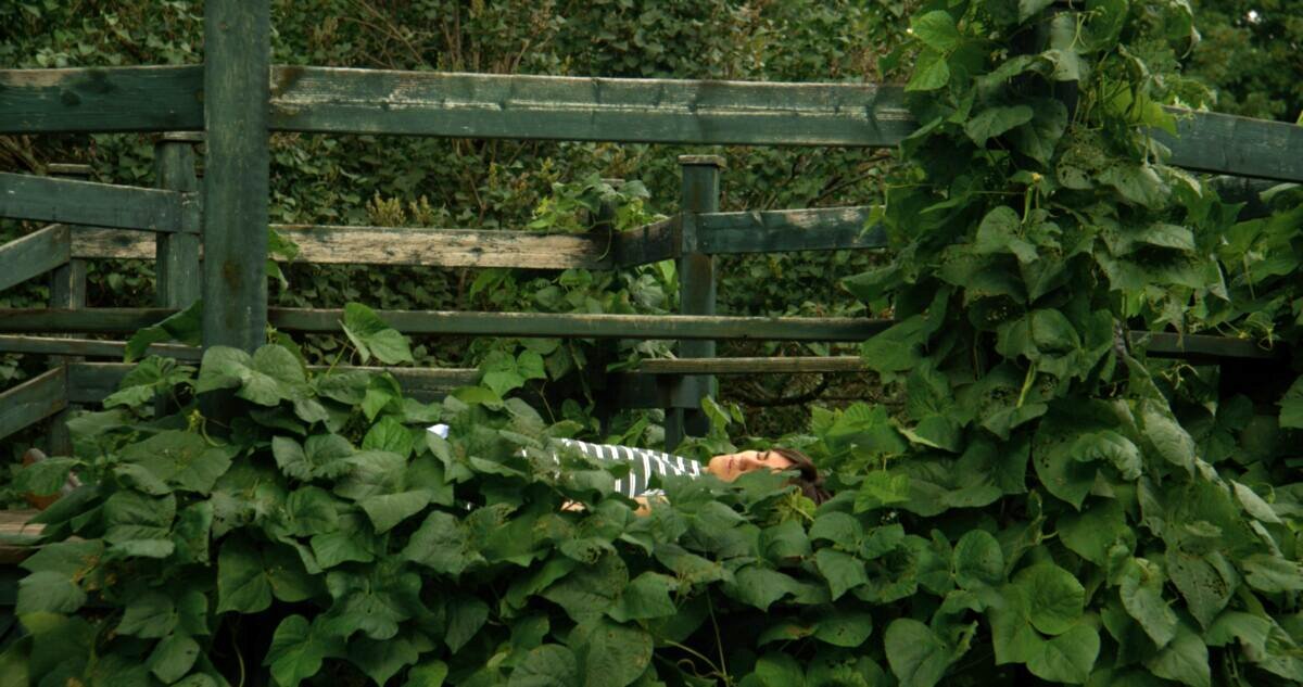 Photo du film In Broad Daylight