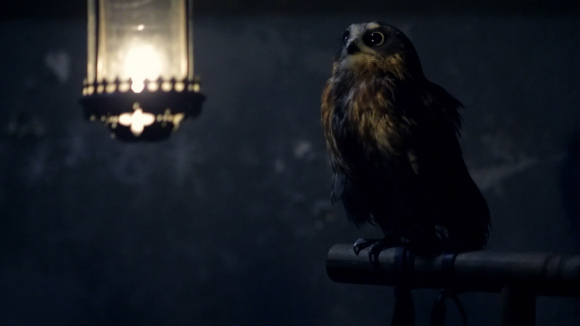 Photo du film L'Oeil de l'Astronome