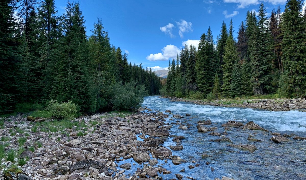 Photo du film The Issue with Tissue - A boreal love story [2022]