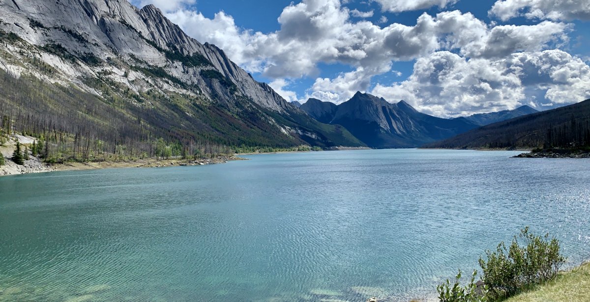 Photo du film The Issue with Tissue - A boreal love story [2022]