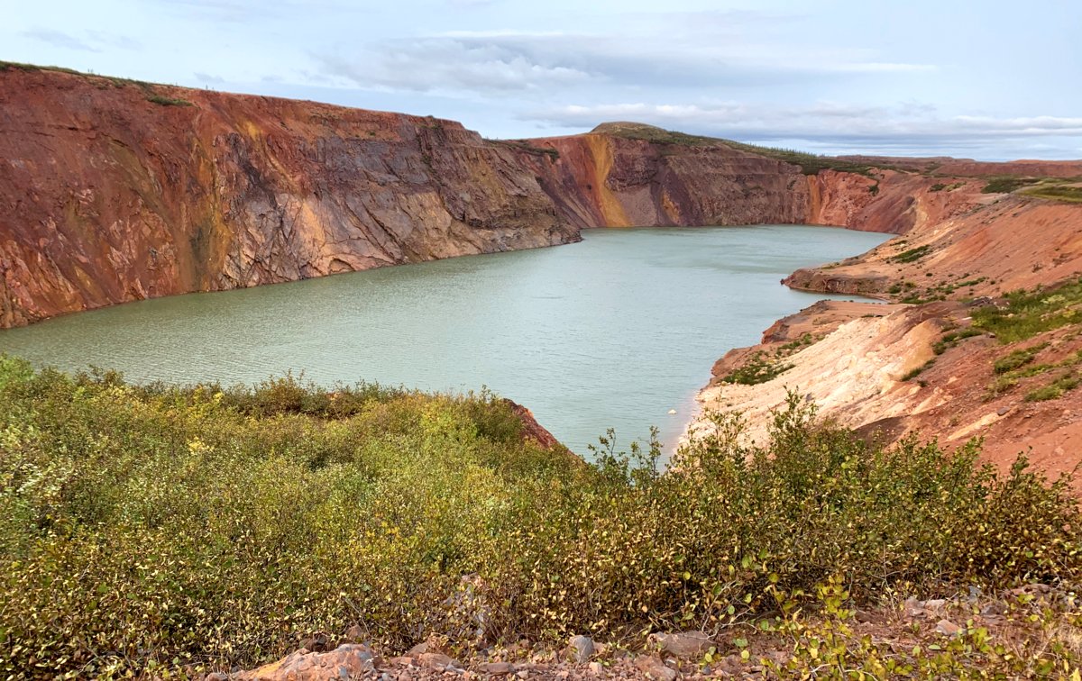 Photo du film The Issue with Tissue - A boreal love story [2022]