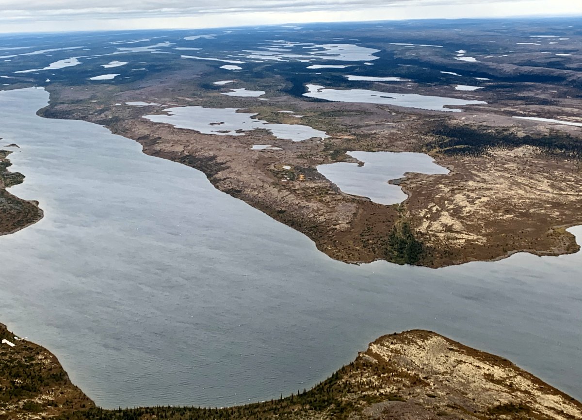 Photo du film The Issue with Tissue - A boreal love story [2022]