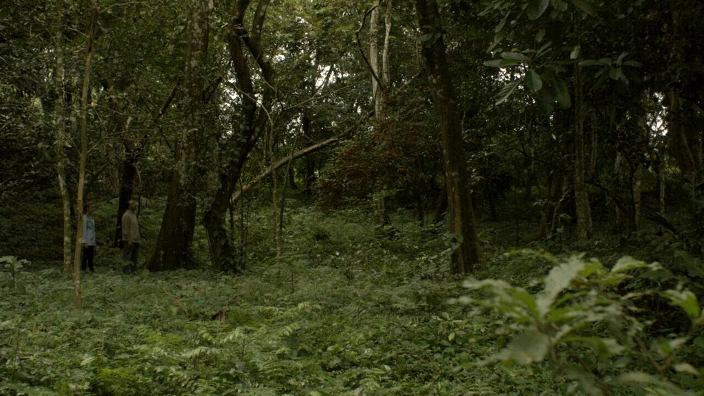 Photo du film Mes nuits feront écho [2016]