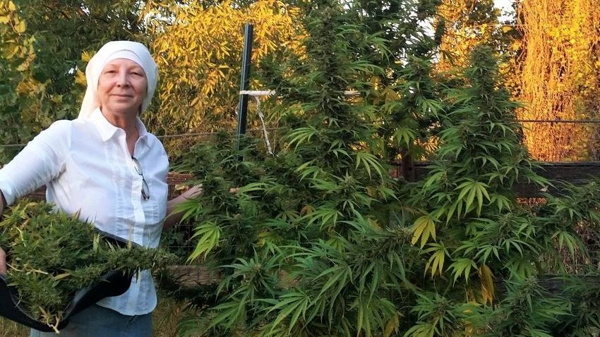 Photo du film Breaking Habits [2018]