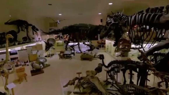 Photo from the movie Dinosaur 13 [2014]
