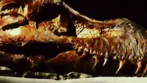 Photo from the movie Dinosaur 13 [2014]