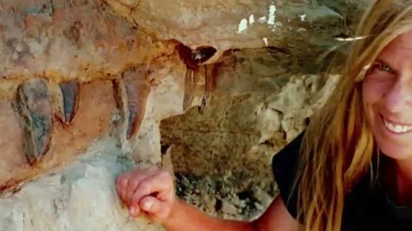 Photo from the movie Dinosaur 13 [2014]