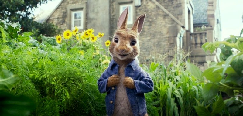 Photo du film Peter Rabbit
