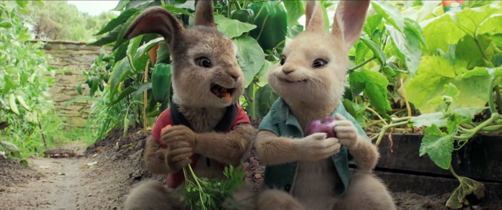 Photo du film Peter Rabbit