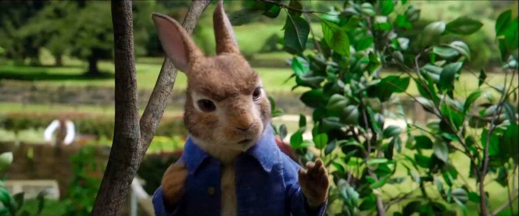 Photo du film Peter Rabbit