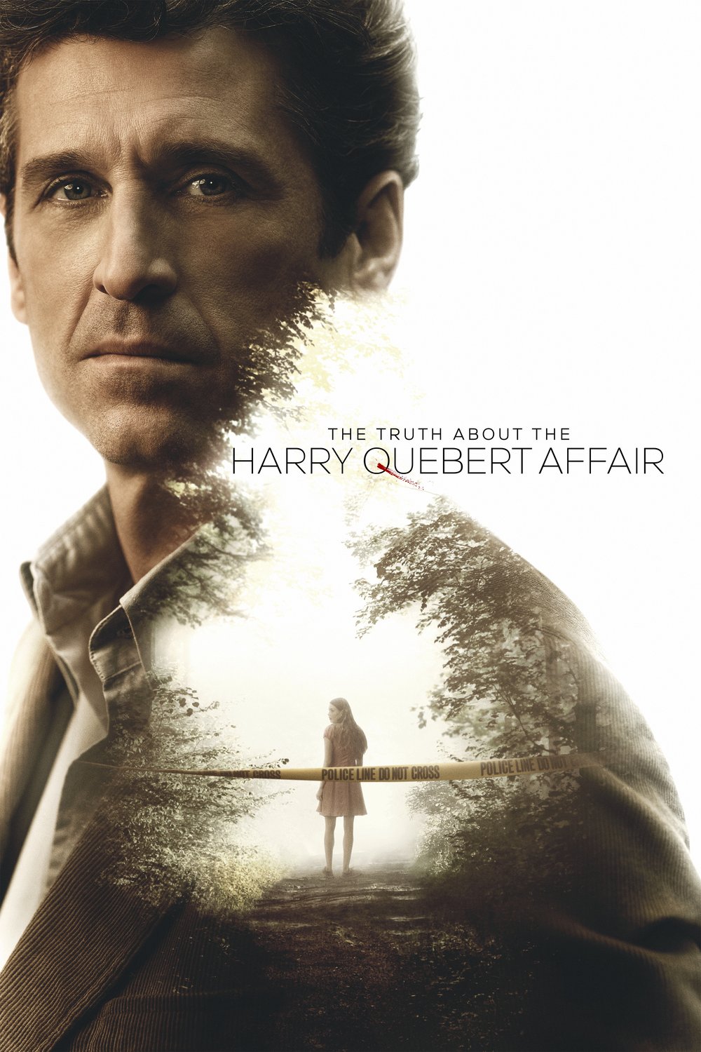 Poster of the movie The Truth About the Harry Quebert Affair