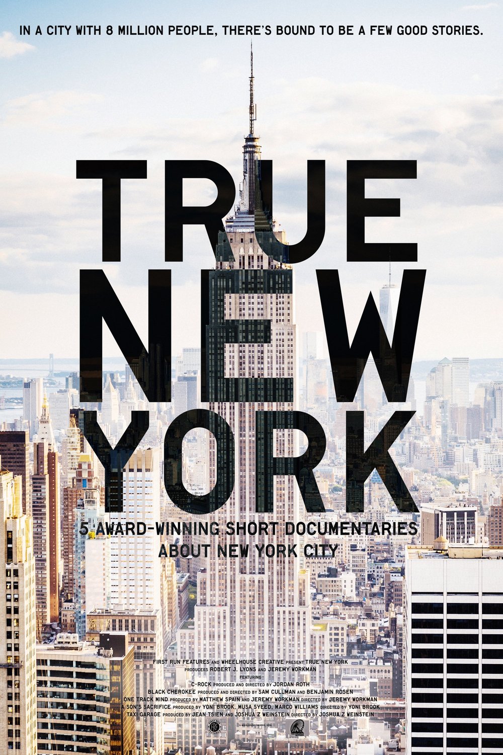 L'affiche du film True New York