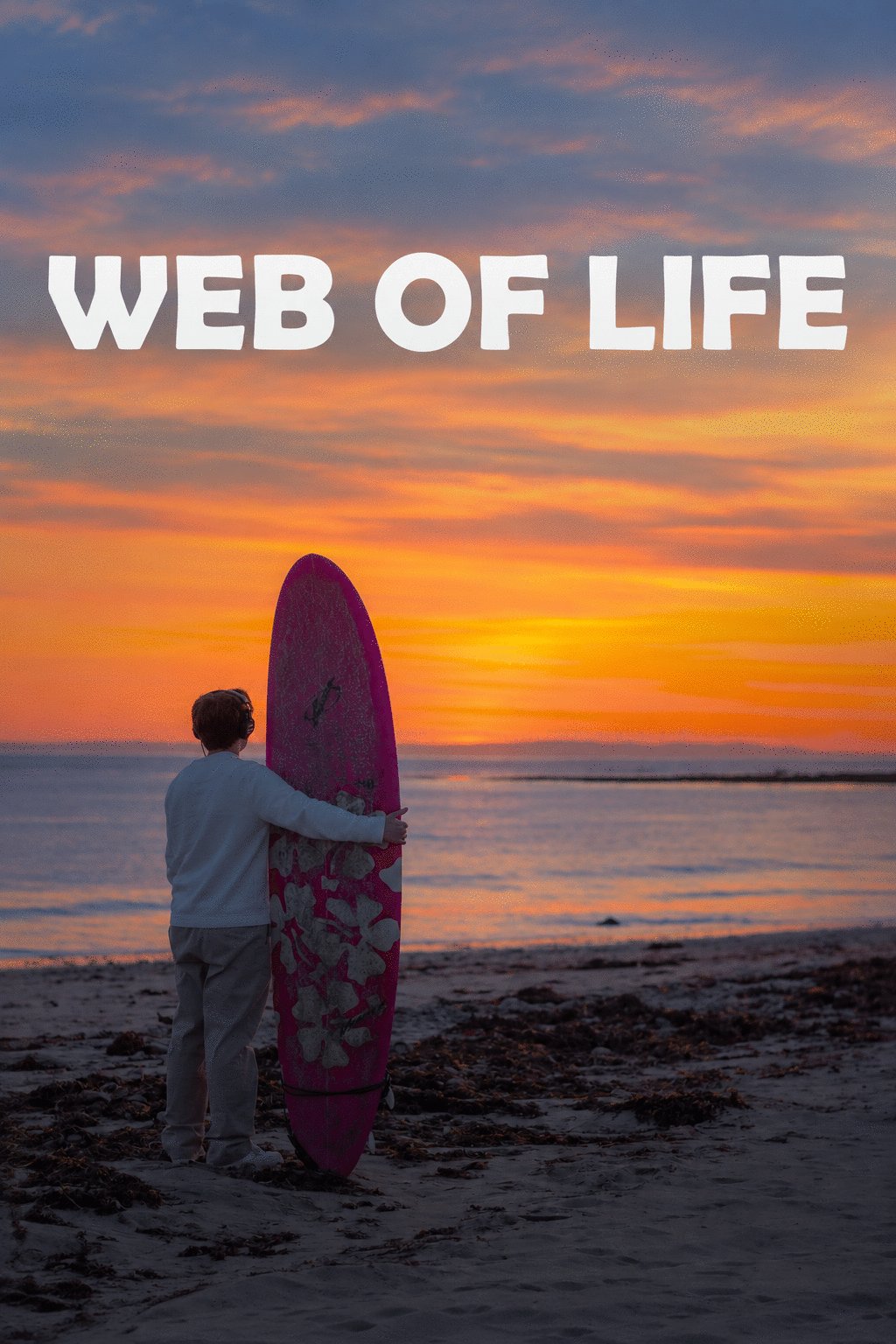 L'affiche du film Web of Life [2025]