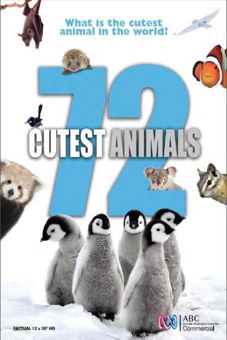 L'affiche du film 72 Cutest Animals