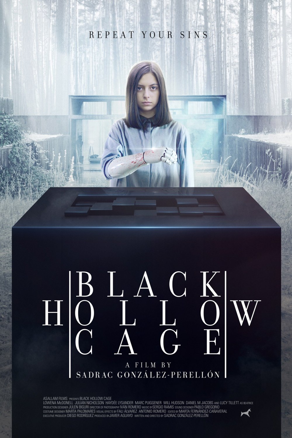 L'affiche du film Black Hollow Cage