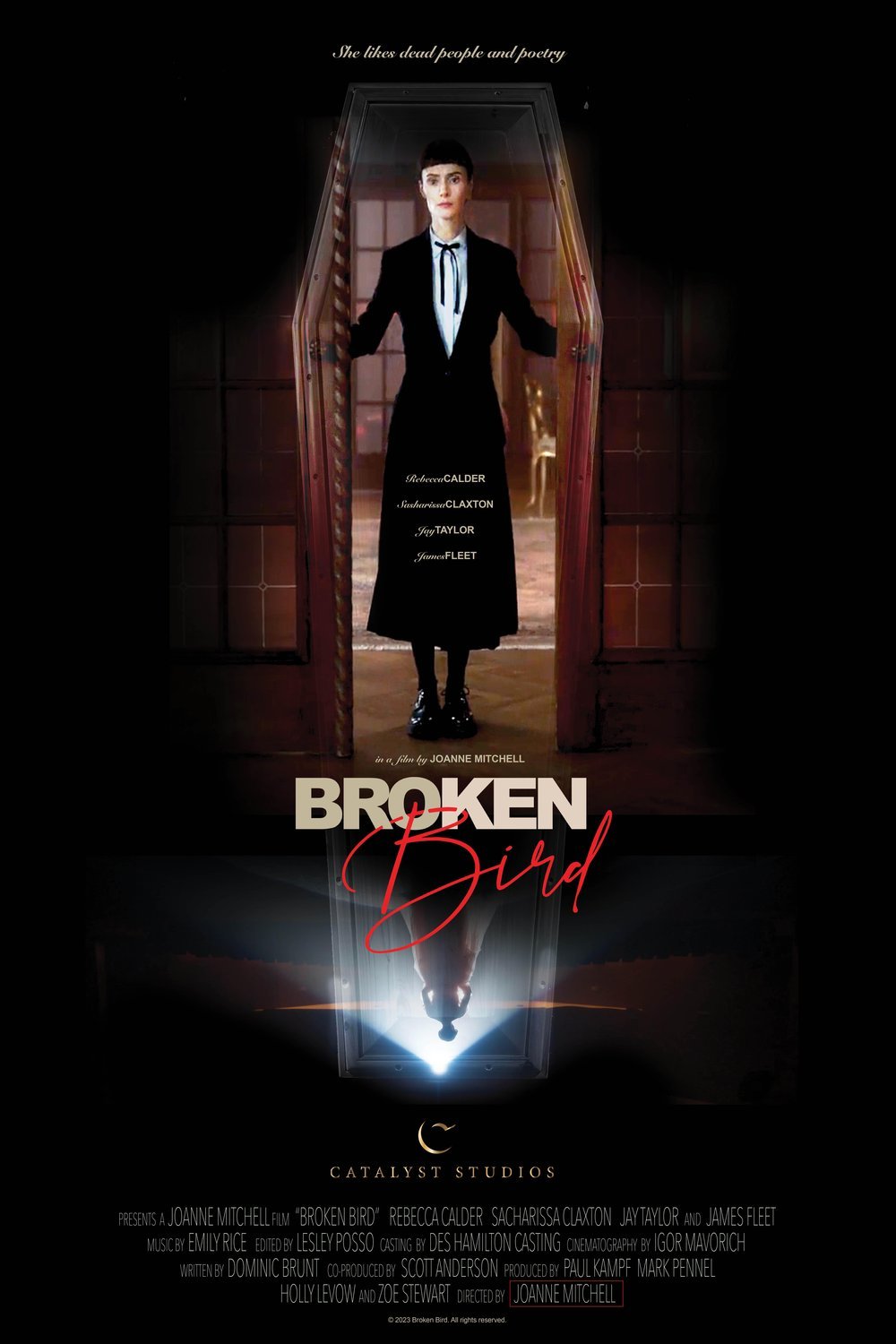 Poster of the movie Broken Bird [2024]