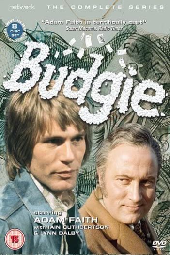 Poster of the movie Budgie [1971]