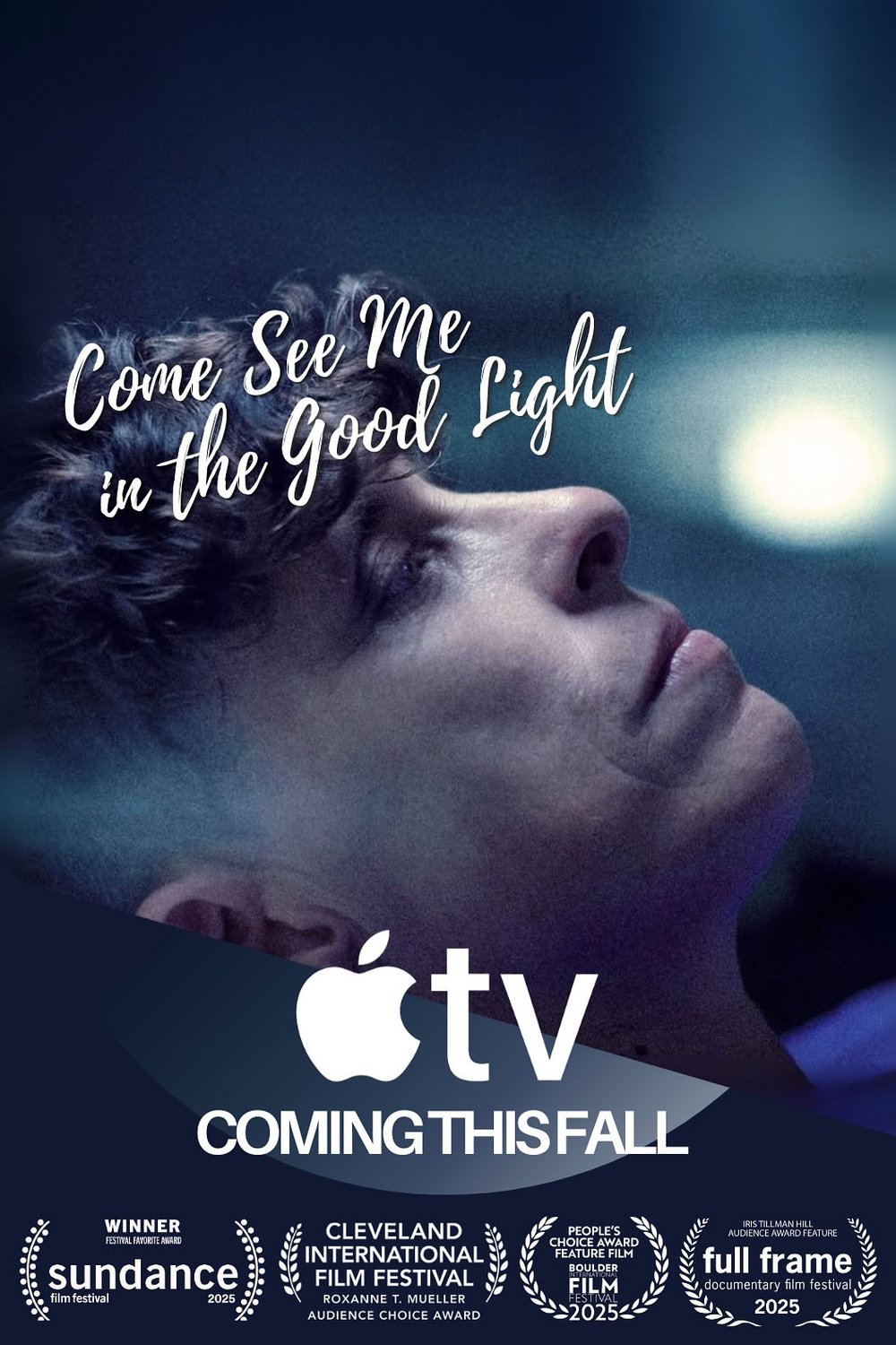 Poster of the movie Come See Me in the Good Light