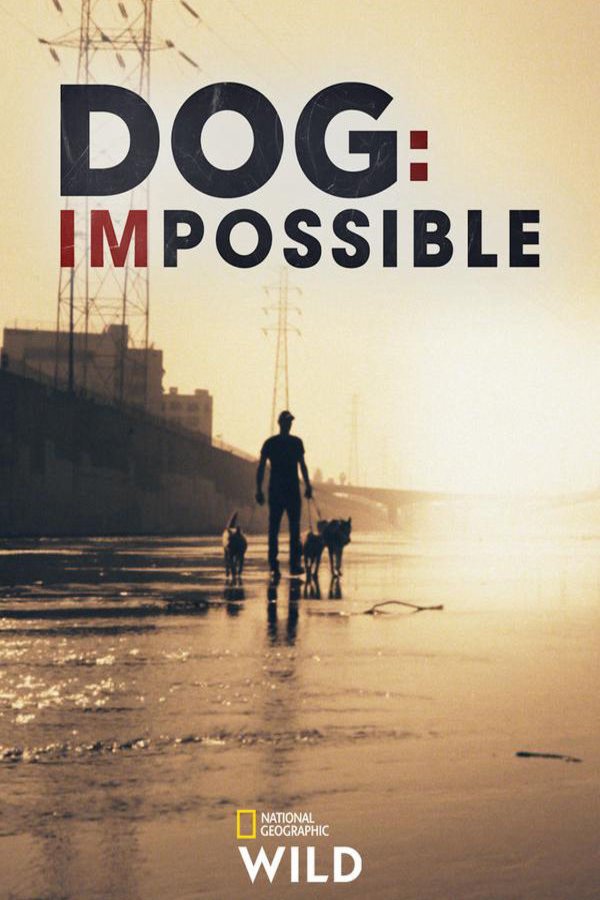 L'affiche du film Dog: Impossible