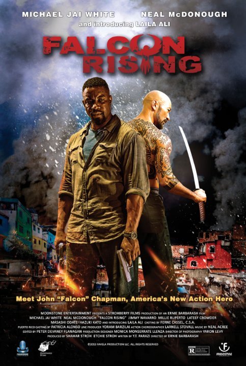 L'affiche du film Falcon Rising