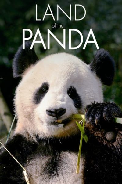 L'affiche du film Wild China: Land of the Panda