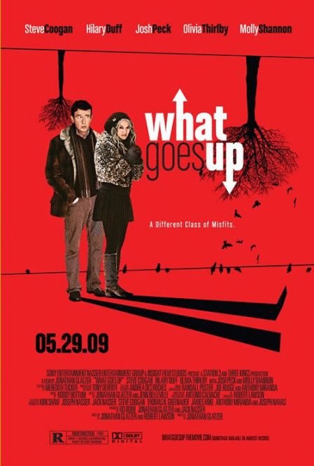 Poster of the movie What Goes Up
