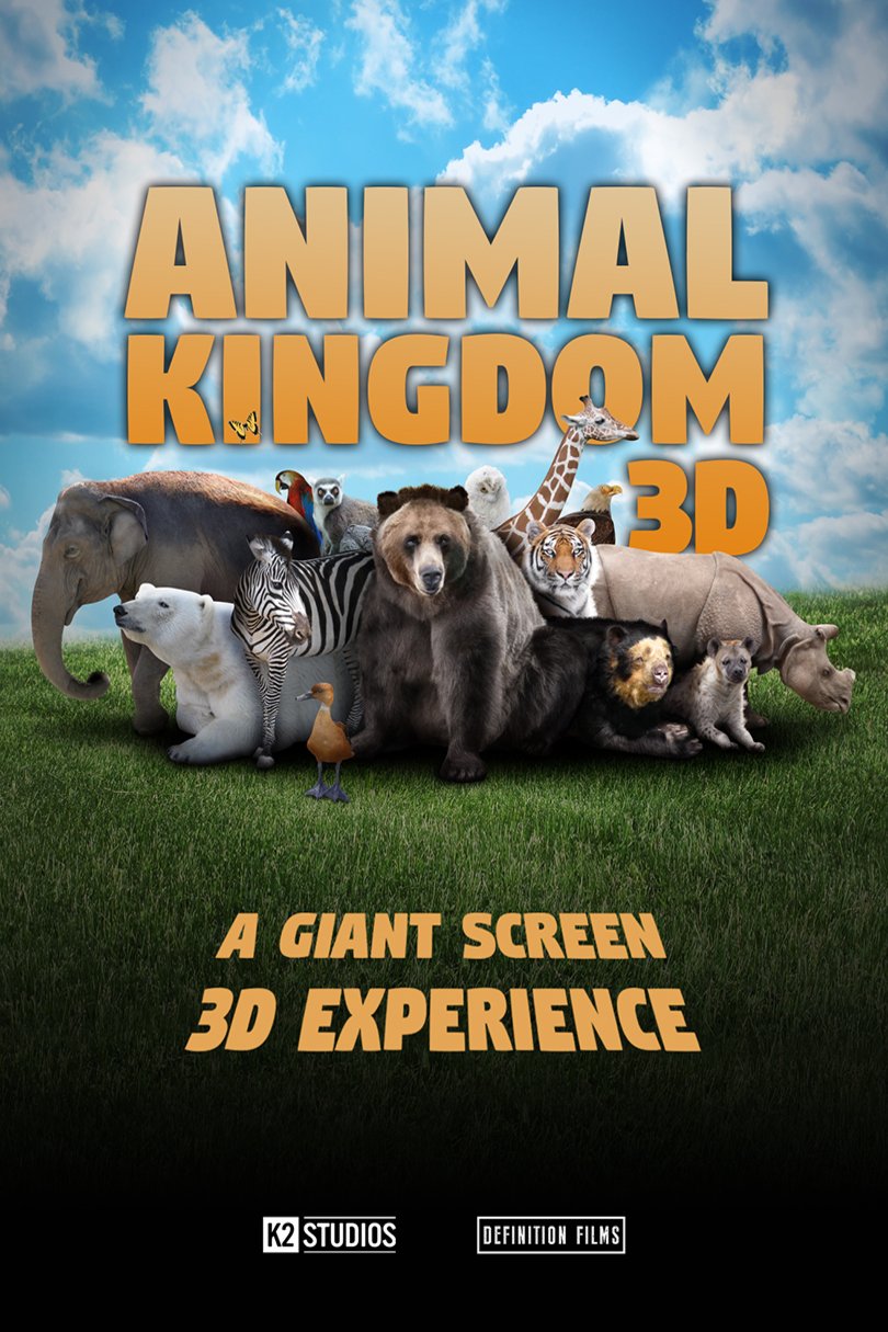 L'affiche du film Animal Kingdom