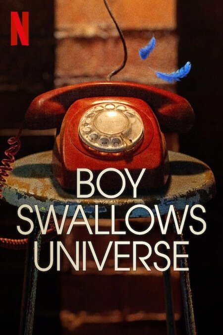 L'affiche du film Boy Swallows Universe
