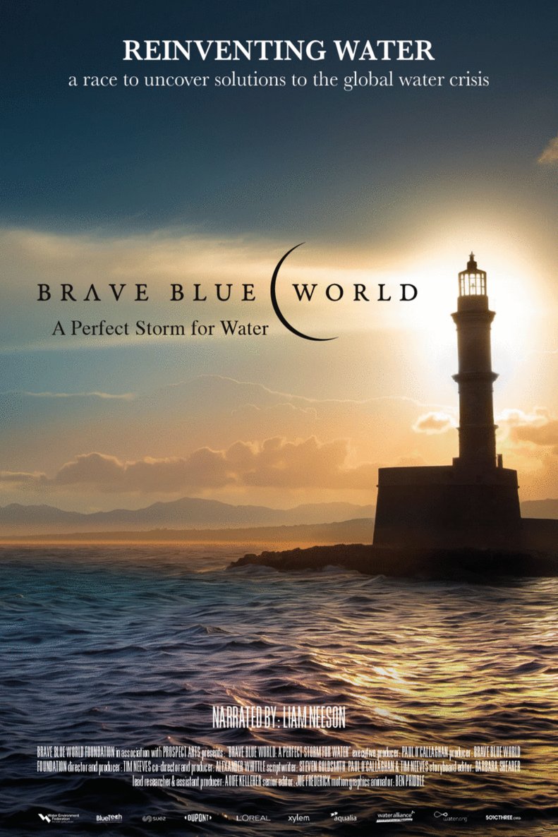 L'affiche du film Brave Blue World