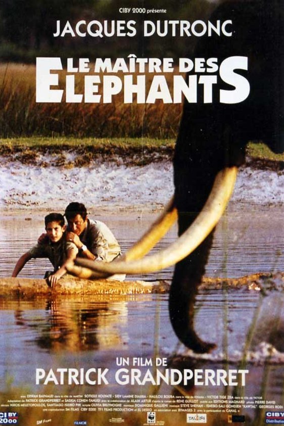 L'affiche du film Le Maître des éléphants