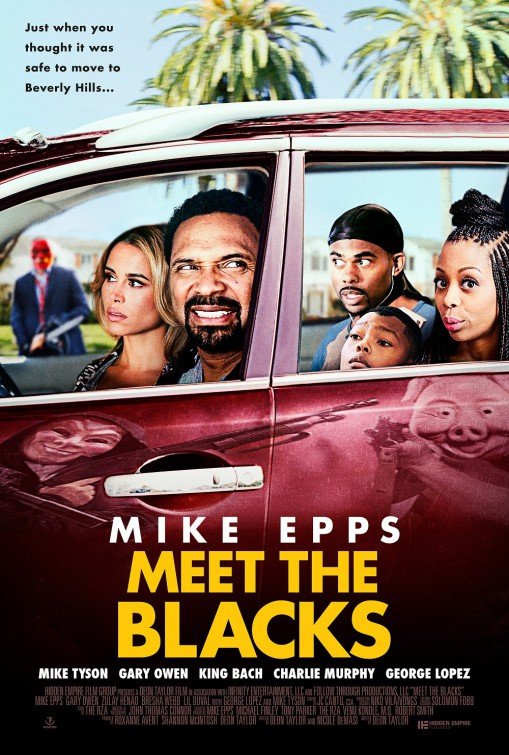 L'affiche du film Meet the Blacks