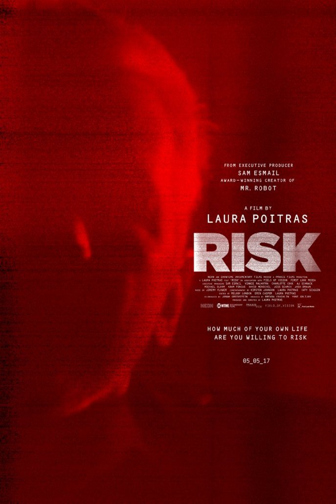 L'affiche du film Risk