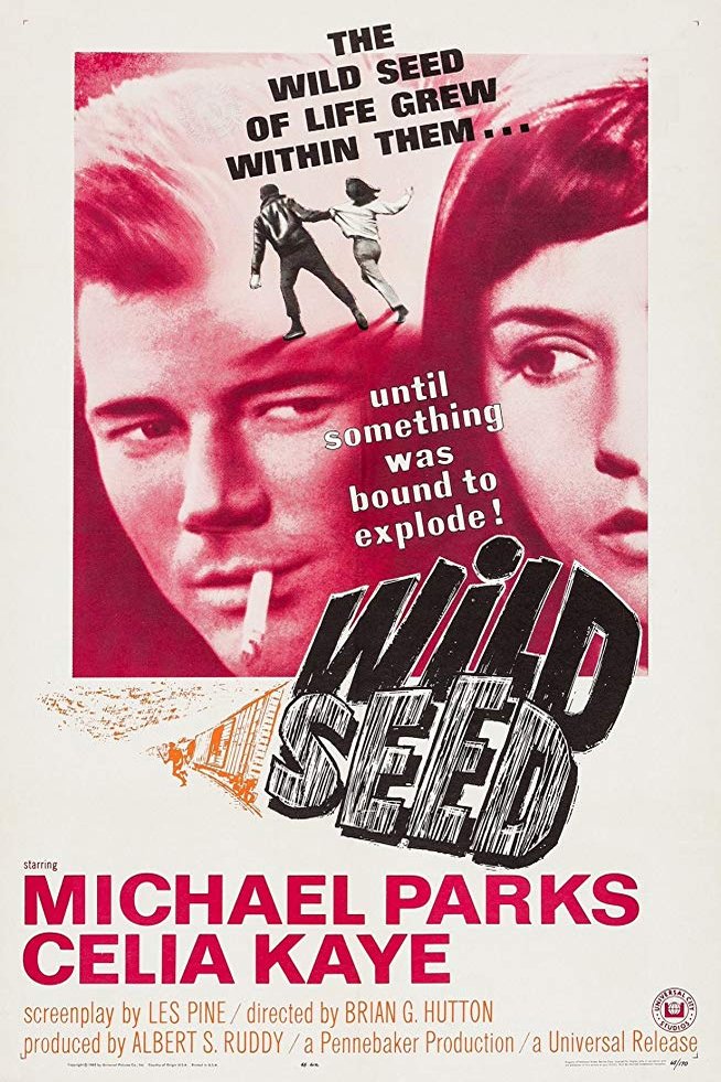 Poster of the movie Wild Seed [1965]