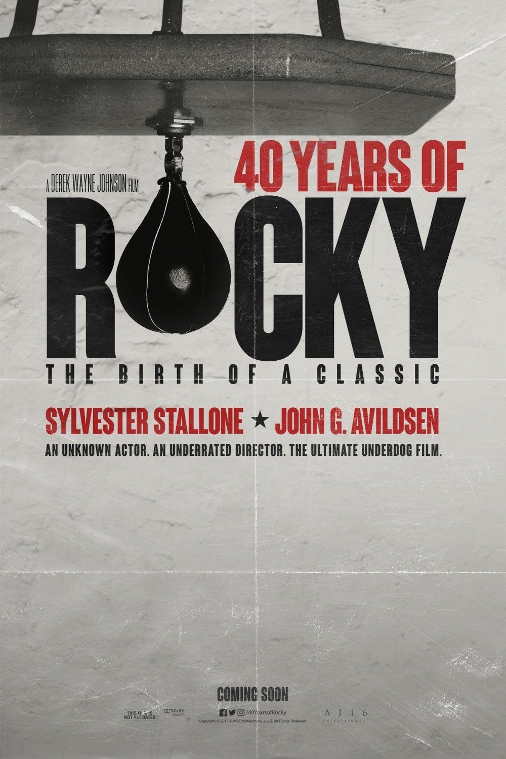 Plakat za 40 Years of Rocky: The Birth of a Classic