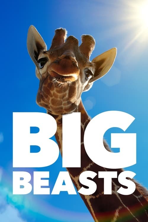 L'affiche du film Big Beasts
