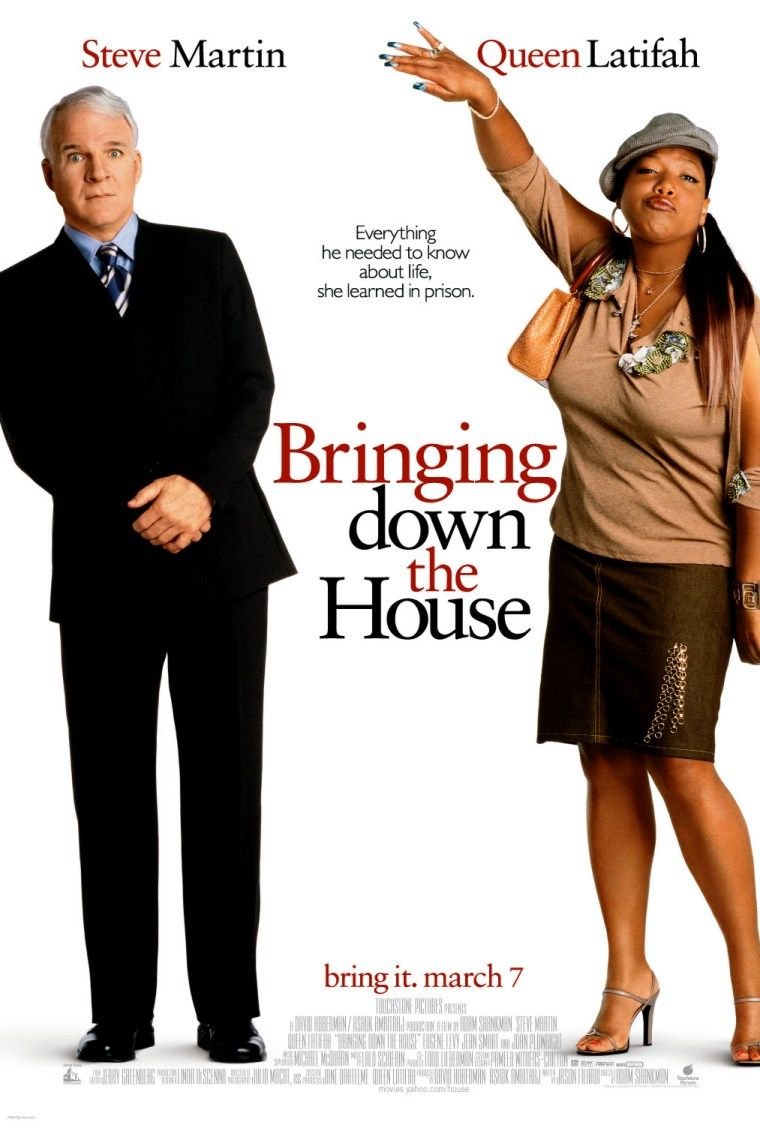 Poster of the movie Bringing Down the House