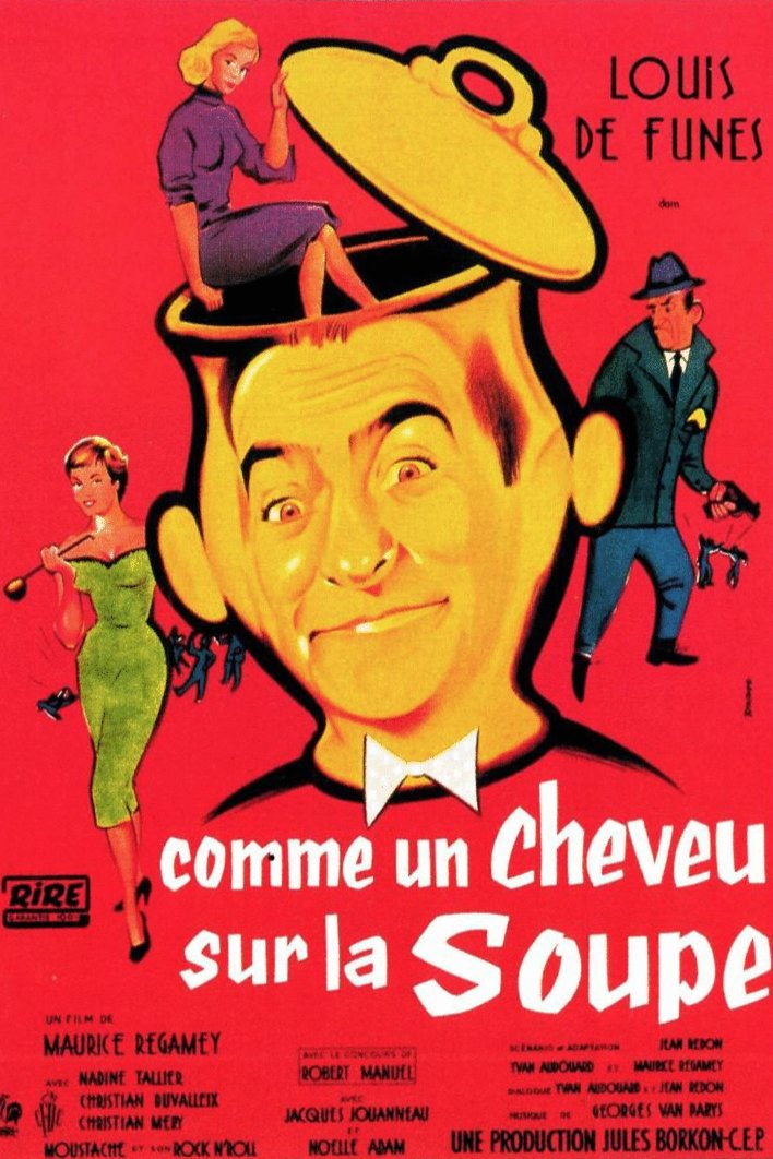 L'affiche du film Comme un cheveu sur la soupe