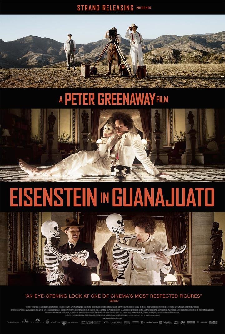 L'affiche du film Eisenstein in Guanajuato