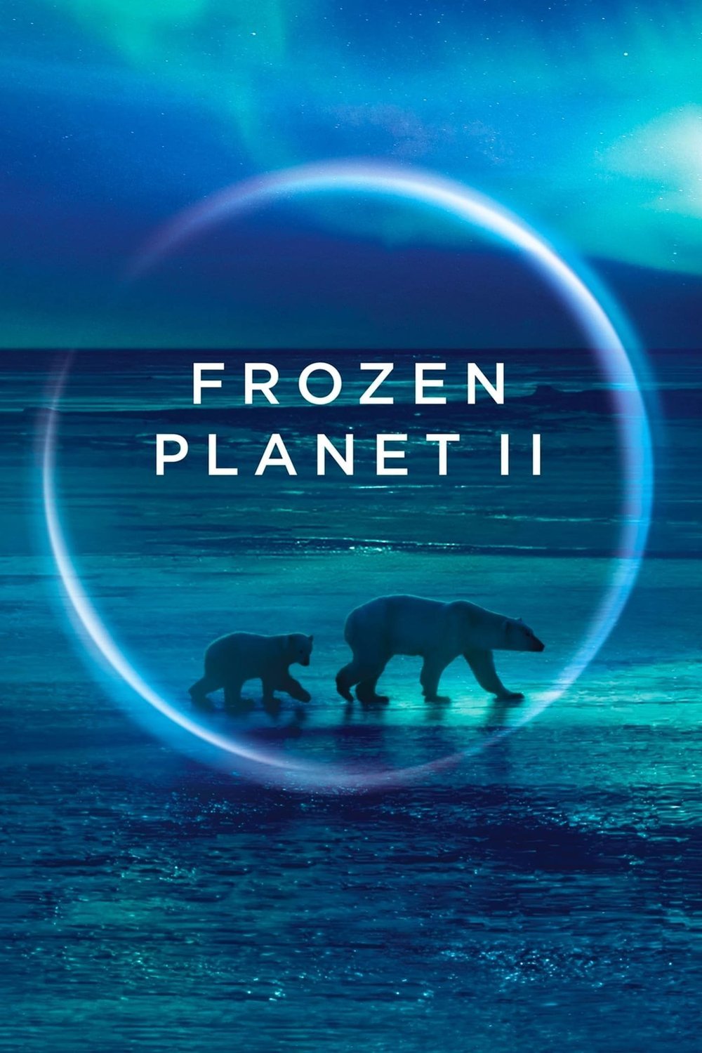 L'affiche du film Frozen Planet II