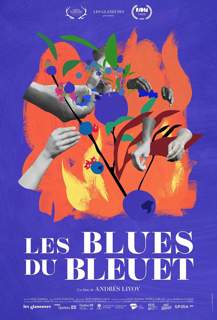 L'affiche du film Les blues du bleuet