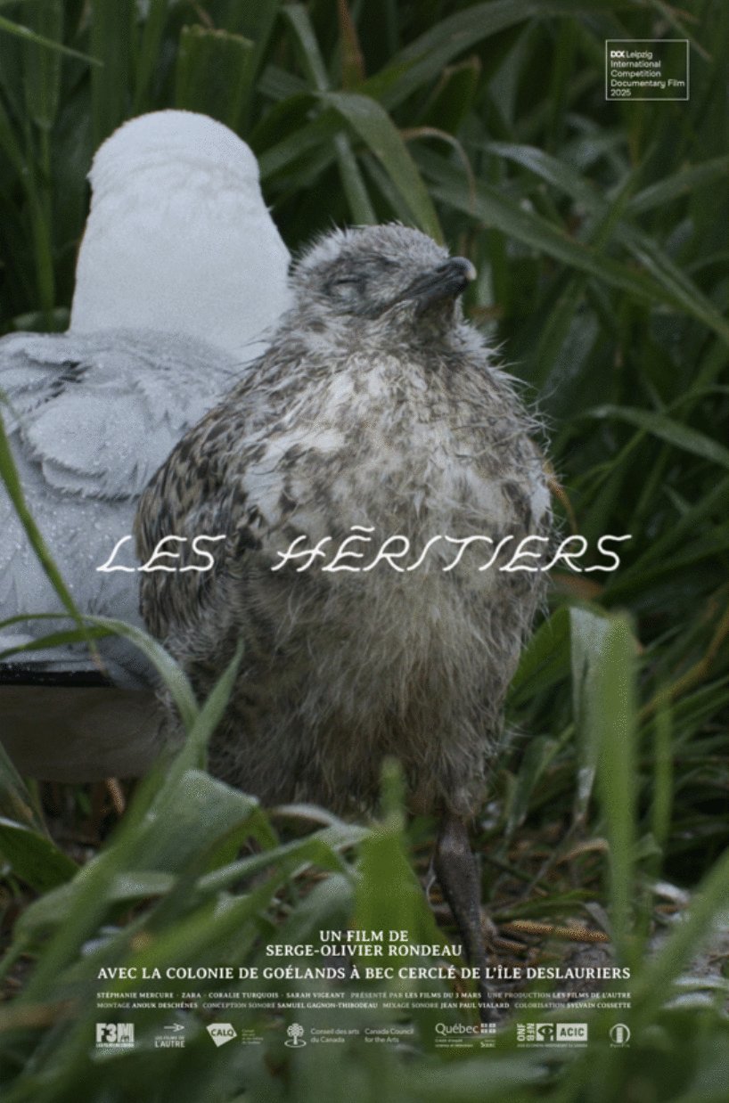 L'affiche du film Les héritiers [2025]